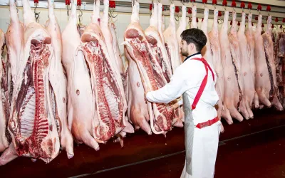 Bidfood Kralupy výroba