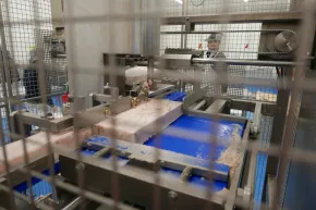 Zmrazené filé Nowaco